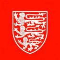 VCH lion logo